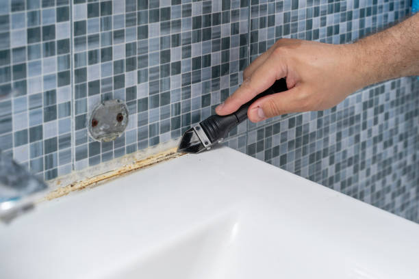 Professional Mold Remediation in Percy, IL